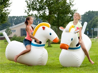 Kids Toys Inflatable Horse Riding Quotation  BY-IG-082